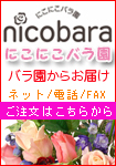 バラ薔薇の注文ならにこにこバラ園 福島県須賀川市